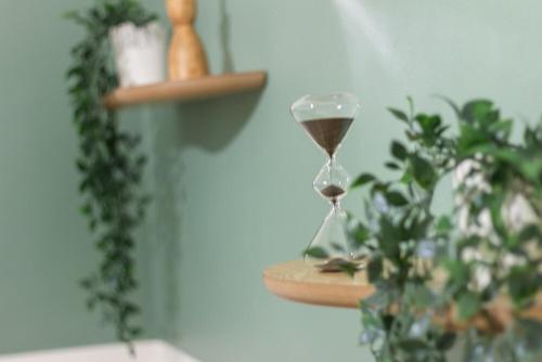 an hourglass sitting on a shelf next to a plant at Airport Area Apartment With Free Parking in Bologna