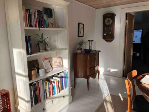 una habitación con una estantería llena de libros en Huset i Grønnegade, en Stubbekøbing