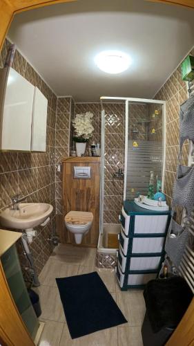 a bathroom with a toilet and a shower and a sink at Ferienwohnung Landliebe in Oberwittstadt