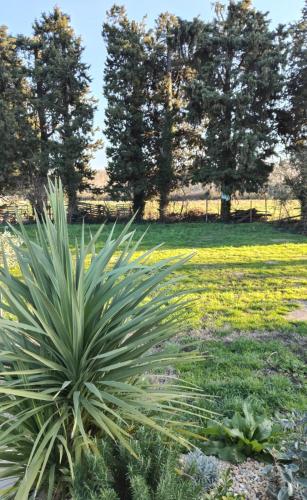 Κήπος έξω από το Emplacement camping car chez agriculteur branchement électrique