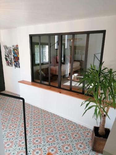 un salon avec un miroir et une plante en pot dans l'établissement Gîte cosy au coeur du Luberon, à Lagnes