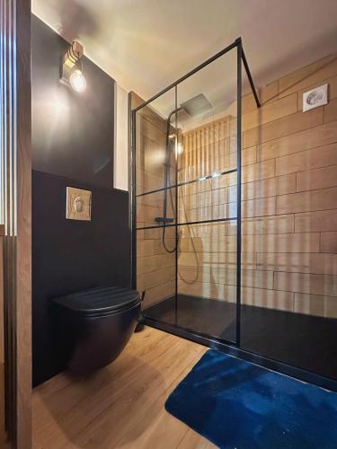 une salle de bain avec toilettes et douche en verre dans l'établissement Le Loft des toits de Vernet, à Vernet-les-Bains