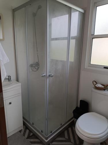 a bathroom with a shower and a toilet at La Martinna 2 in Trinidad