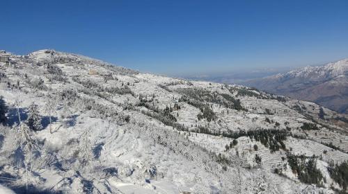 a mountain covered in snow with trees on it at SUKOON I Vacations I Conference I MICE I Family Events I Open Air Terrace I Sky Bonfire I Wooden Rooms With Pvt Balconies I Charvi Retreat by Exotic Stays in Kūfrī