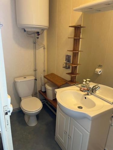 une salle de bain avec des toilettes blanches et un lavabo dans l'établissement Appartement Cosy entre port et plage, à Dieppe