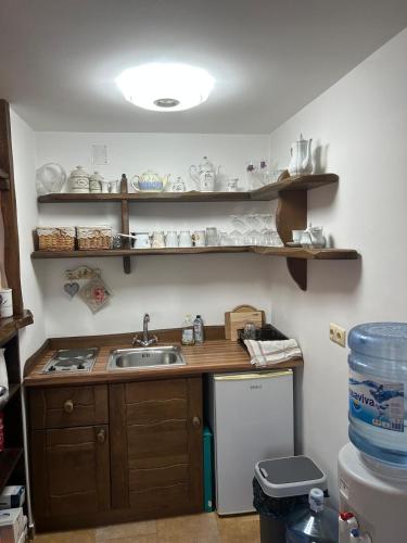 Η κουζίνα ή μικρή κουζίνα στο Kuća za odmor Bellevue
