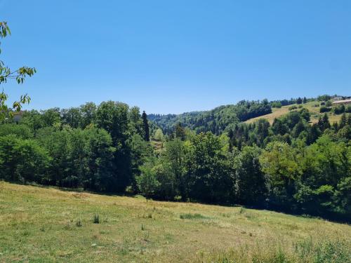 Photo de la galerie de l'établissement Gîte entre lacs et montagnes avec piscine, à Meyrieux-Trouet
