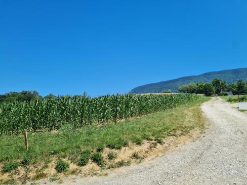 Photo de la galerie de l'établissement Gîte entre lacs et montagnes avec piscine, à Meyrieux-Trouet