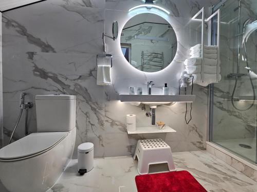 a bathroom with a toilet sink and a mirror at ApartHotel Ritms in Krāslava