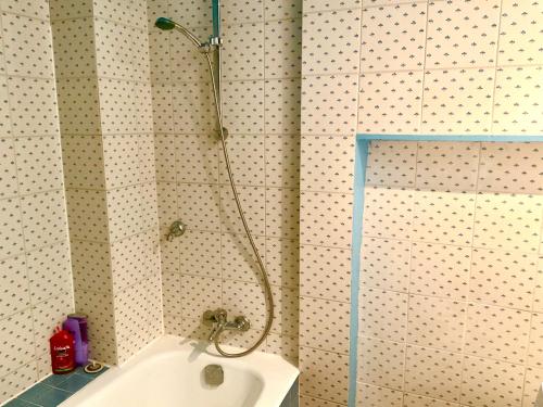 een douche in een badkamer met een wastafel bij Bel appartement ancien sur cour verdoyante in Parijs