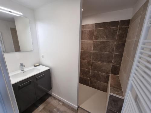 a bathroom with a sink and a shower at Appartement au cœur des vignes in Chaintré