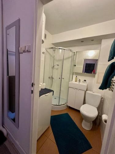 a bathroom with a toilet and a glass shower at Przy Stawikach in Sosnowiec