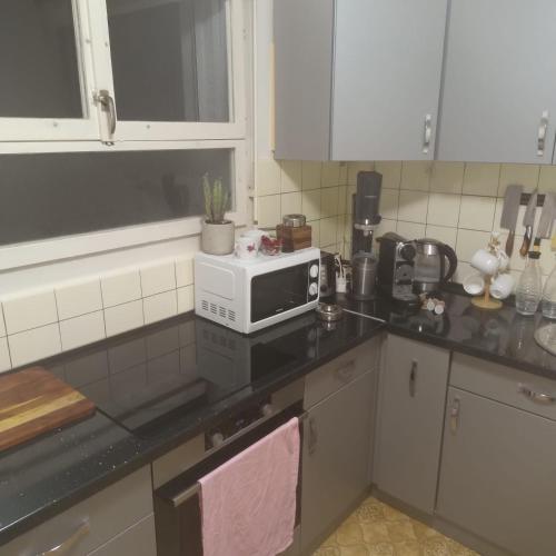 Η κουζίνα ή μικρή κουζίνα στο Schöne Wohnung mit grosse Terasse