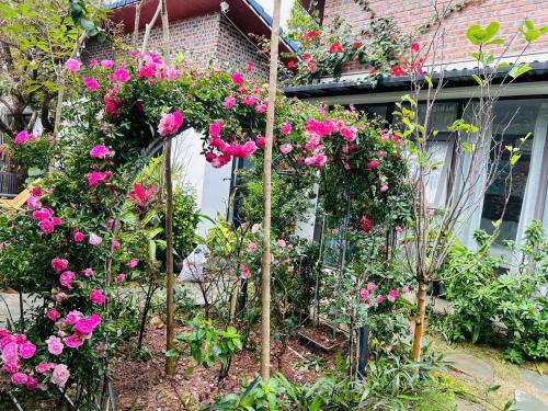 a garden with pink flowers in front of a house at Tam Coc Boutique Garden in Ninh Binh