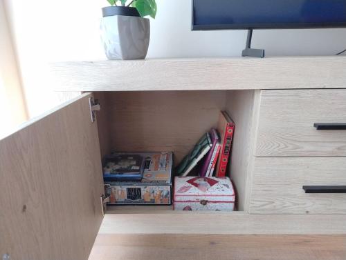 une étagère avec des livres et d'autres objets à l'intérieur dans l'établissement El rincón del Pirineo, à Tramacastilla de Tena