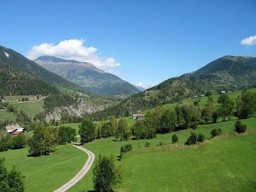 a green field with a road and mountains in the background at Alpenrose Aletsch Landschaftspark Binntal in Grengiols