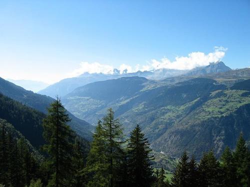 a view of a valley with trees and mountains at Alpenrose Aletsch Landschaftspark Binntal in Grengiols