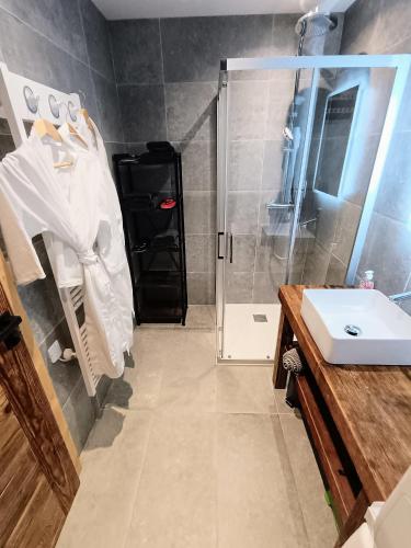 a bathroom with a shower and a sink at Chez Lucienne, jacuzzi et sauna in Samoëns