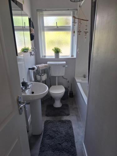 a bathroom with a toilet and a sink and a window at Mourne Mountains holiday home in Newcastle