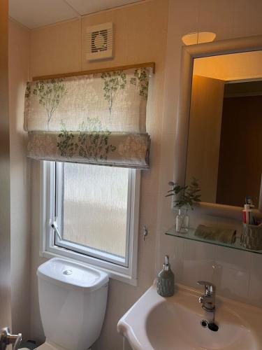 a bathroom with a toilet and a window and a sink at 5 the green,lilliardsedge holiday park in Harrietsfield