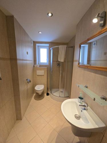 a bathroom with a shower and a sink and a toilet at Zamek Międzylesie in Międzylesie