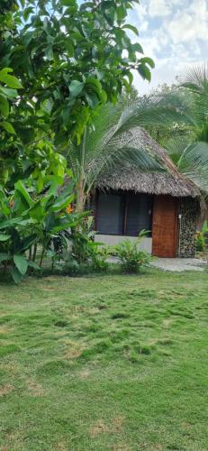 a small house with a grass roof on a field at Zirumake Hostel Dentro del Parque Tayrona in El Zaino