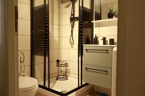 une salle de bain avec une douche en verre et des toilettes dans l'établissement Appartement Cosy Centre Nice, à Nice