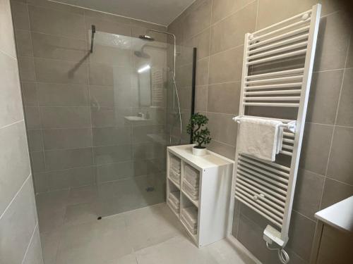 une salle de bain avec douche et lavabo dans l'établissement Apartment 2 Favone, South Corsica, beach 100m away, à Conca