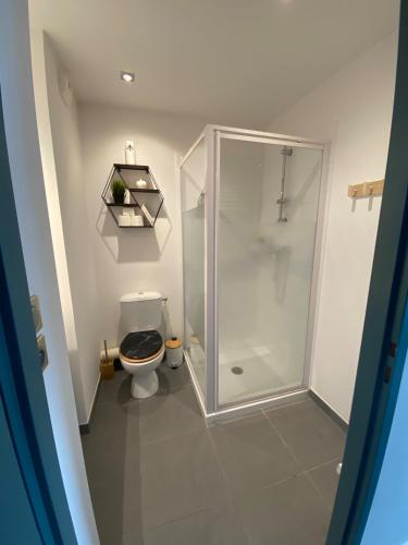 une salle de bain avec douche et toilettes dans l'établissement Studio Tête d 'Or, à Villeurbanne