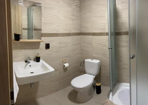 a bathroom with a toilet and a sink and a shower at Rekreačné zariadenie Kamenný potok in Snina