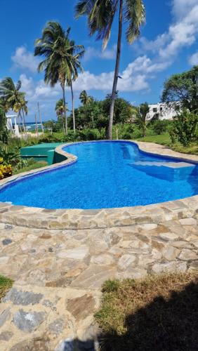 Gecko Azul, Las Galeras