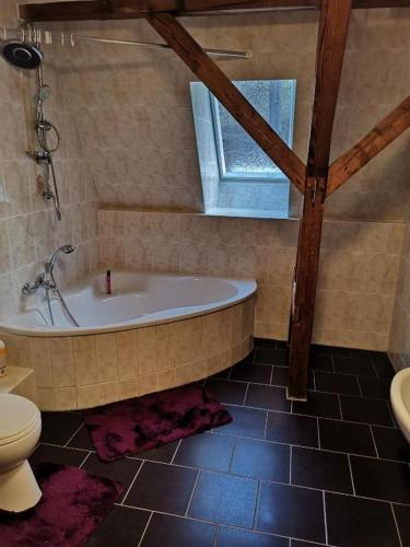 a bathroom with a tub and a toilet and a window at Ferienwohnung Rote-Villa in Marienberg