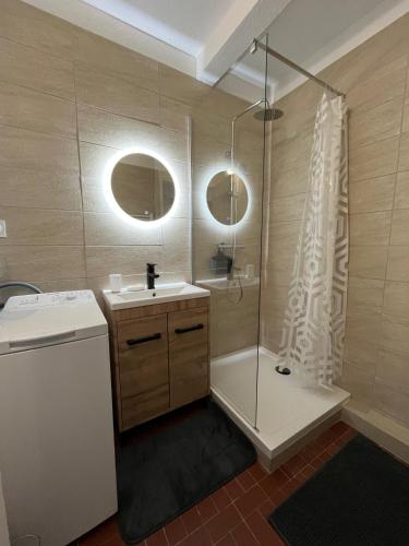 une salle de bain avec douche et lavabo dans l'établissement Studio Gréoux-les-Bains, à Gréoux-les-Bains