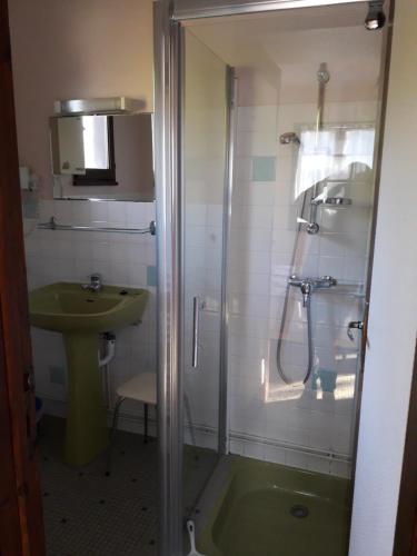 a bathroom with a shower and a sink at MF n 7 in Cazaubon