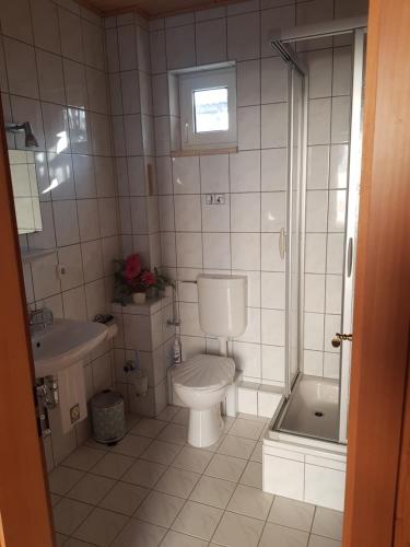 a bathroom with a toilet and a sink and a shower at Ferienhaus Gickelsberg in Hohnstein