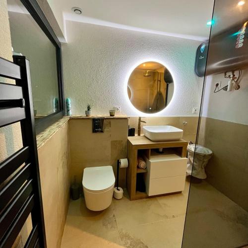 une salle de bain avec un lavabo, des toilettes et un miroir dans l'établissement Appart Massage Relax - Studio, à Morbier