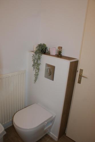 La salle de bains est pourvue de toilettes et d'une plante sur le mur. dans l'établissement VANNES Les JARDINS DU PORT, à Vannes