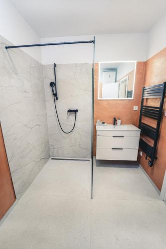 a bathroom with a shower and a white sink at Rezidence Magnolie in Velké Pavlovice