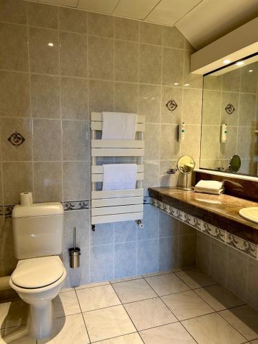 a bathroom with a toilet and a sink at Cit'Hotel le Challonge in Dinan