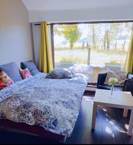 a bedroom with a bed and a large window at Holliday Home La Douane in Gedinne