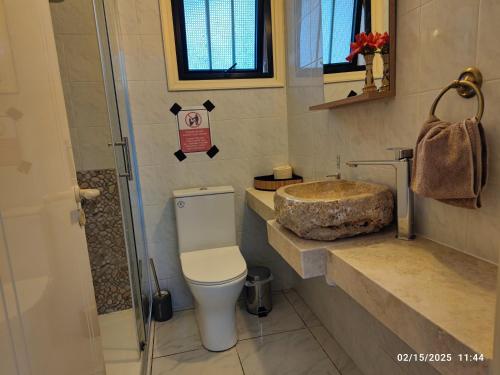 a bathroom with a toilet and a sink at Palm garden paradise in Pervolia