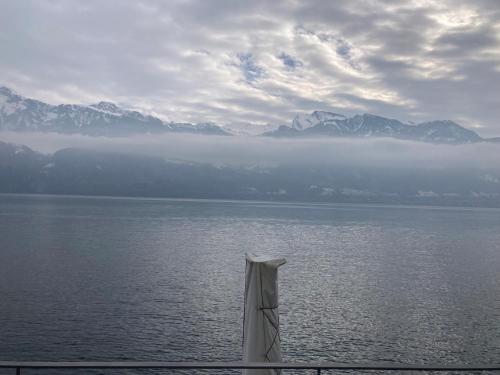 a view of a body of water with mountains at Hotel Fähri Gersau in Gersau