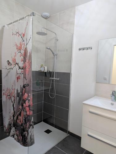 une salle de bain avec douche et lavabo dans l'établissement Une Villa En Montagne, à Marnaz