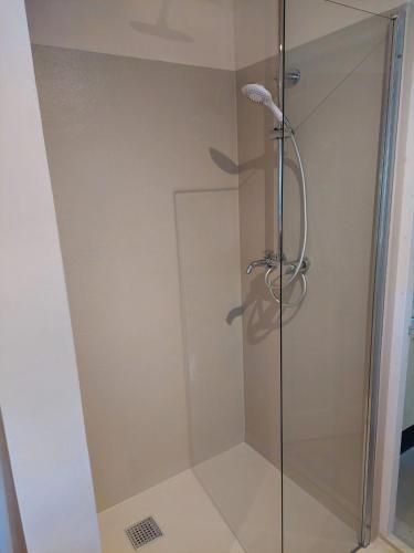 a shower with a glass door in a bathroom at Kleine buurt in de Tuin in Lettelbert