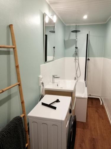 une salle de bain avec un lavabo et un miroir dans l'établissement Clameli, à Gien