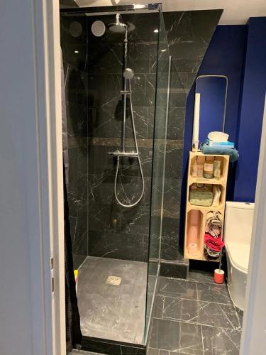 une douche avec une porte vitrée dans une salle de bain dans l'établissement New & cosy beautiful apt close Marais!, à Paris