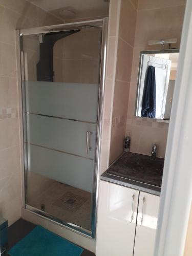 une douche dans une salle de bain avec un lavabo et un miroir dans l'établissement Appartement spacieux et 5 minutes DISNEY LAND PARIS, à Bailly-Romainvilliers