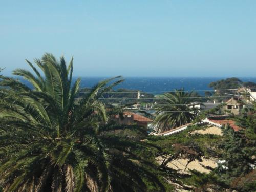 un groupe de palmiers au sommet d'une ville dans l'établissement Appartement vue mer, à Bandol