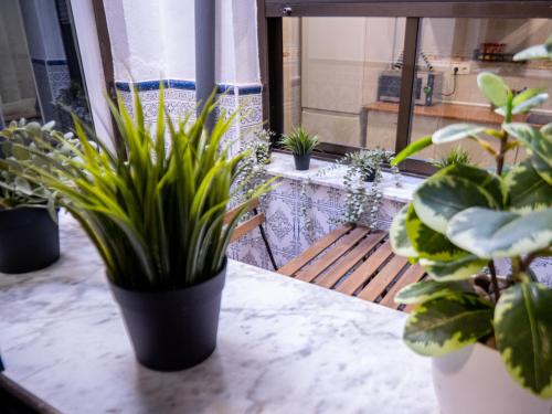 a room with potted plants sitting on a table at Casa Lavanda in Villena