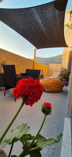 a red flower in a vase on a patio at Etoile apartment in Perissa